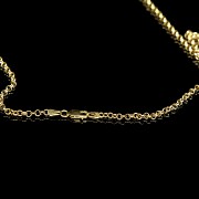 Gold chain and mount ‘ Without coin’