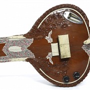 Indian stringed musical instrument 