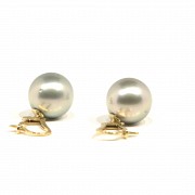 Tahitian pearl earrings