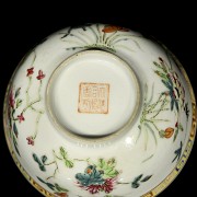 Enamelled porcelain ‘Garden’ bowl, with Qing seal