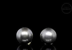 Yellow gold earrings with Tahitian pearls