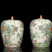 Pair of ‘Chrysanthemums and birds’ tibor, 20th century