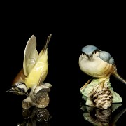 Ten porcelain birds, 20th century