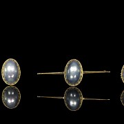 Mother of pearl earrings, needle and ring set