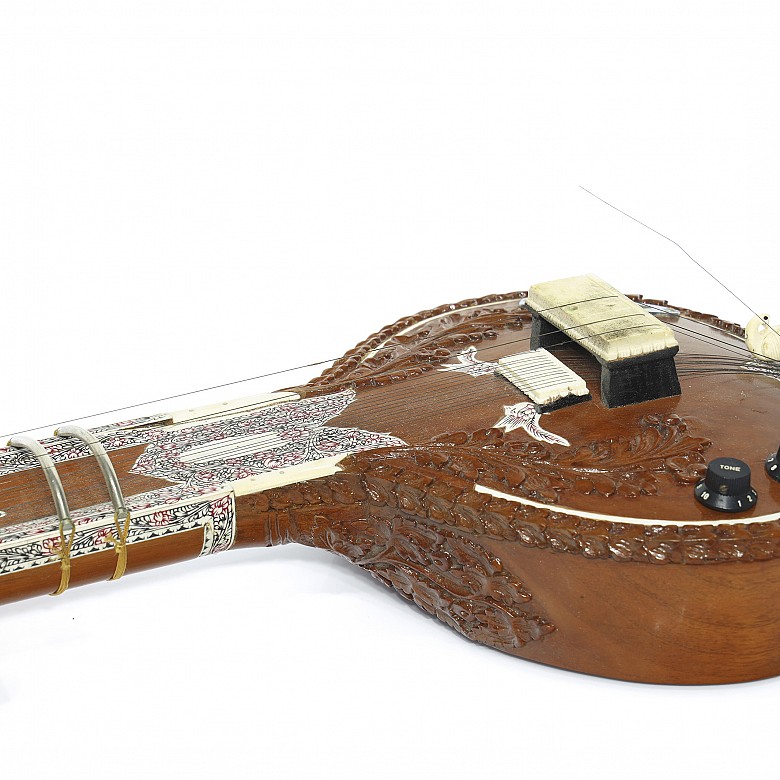 Indian stringed musical instrument 