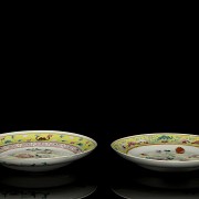 Pair of pink family plates ‘Flowers and birds’, 20th century