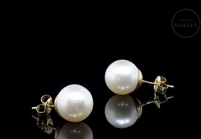 Yellow gold earrings with Australian pearl