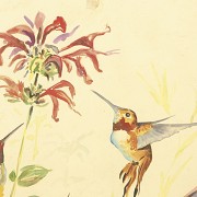 E. Noblom (20th century) ‘Hummingbird and flowers’