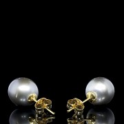 Yellow gold earrings with Tahitian pearls