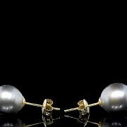 Yellow gold earrings with Tahitian pearls