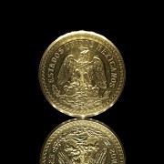 Moneda de oro 