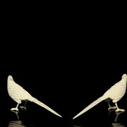 Pair of carved ivory birds, early 20th century.