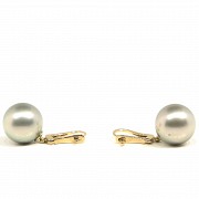 Tahitian pearl earrings