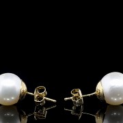 Yellow gold earrings with Australian pearl