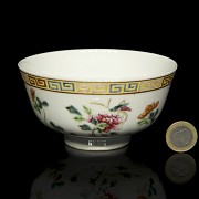 Enamelled porcelain ‘Garden’ bowl, with Qing seal