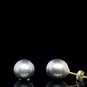 Yellow gold earrings with Tahitian pearls