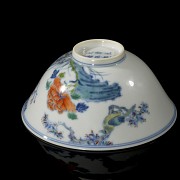 Doucai “Flowers and Birds” bowl, Qing Dynasty