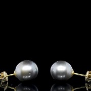 Yellow gold earrings with Tahitian pearls