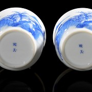 Pair of small porcelain ‘Landscape’ cups, Qing dynasty