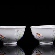 Pair of ‘Flowers and lingzhi’ famille rose bowls, Qing dynasty