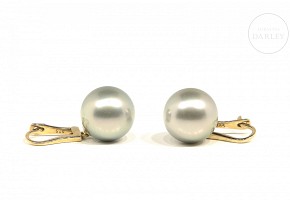 Tahitian pearl earrings