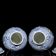 Pair of blue and white porcelain tibors, Jingdezhen, Qing dynasty